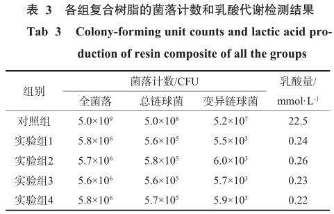 人口菌斑_牙菌斑图片(2)